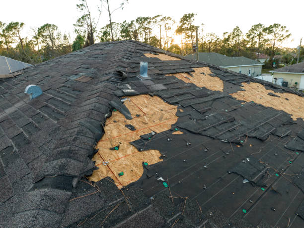 Best Green or Eco-Friendly Roofing Solutions  in Ridgeland, SC